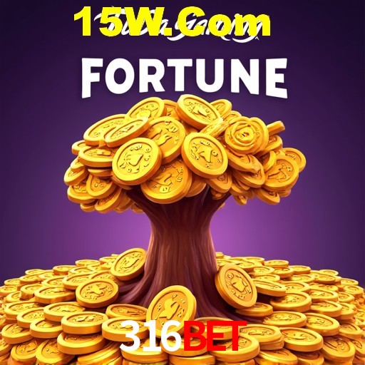 316bet.com